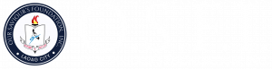 Osfi 3